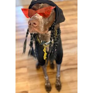 Snoop Dogg Inspired Pet Dog Costume Set Hoodie Braids Glasses Size Large